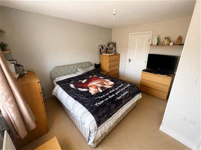 Picture 13